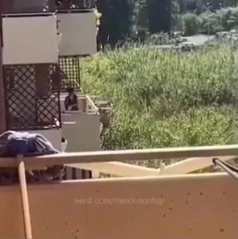 Video by mexicoontop