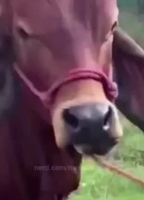Video by mexicoontop