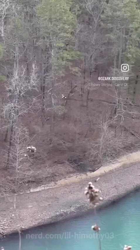 Video by lil-himothy03