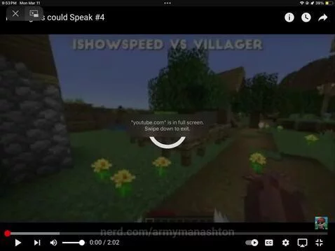 video poster