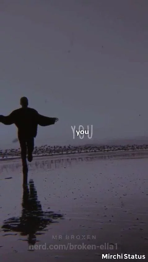 IDFC by Black bear by broken-ella1