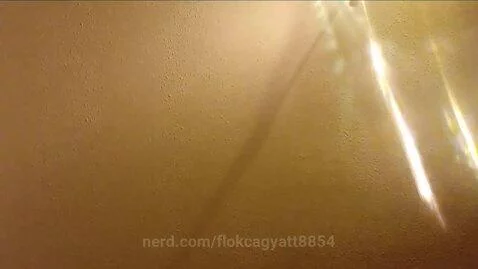flokcagyatt8854 post preview