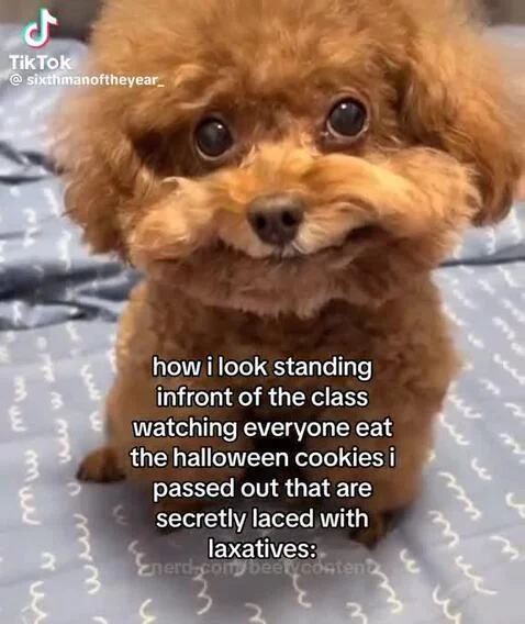 Video by beefycontent