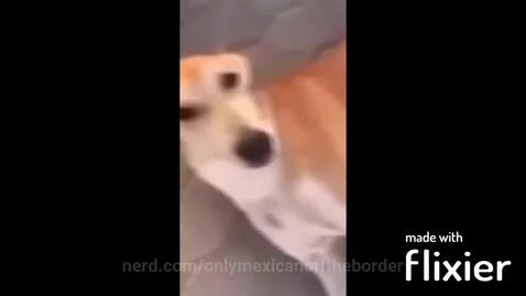 onlymexicanofftheborder post preview