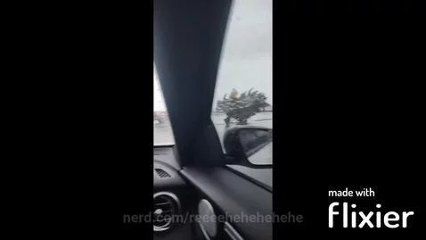 NEVER BACK DOWN NEVER WHAT!? NEVER GIVE UUP!! by reeeehehehehehe