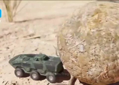 Video by frogcog
