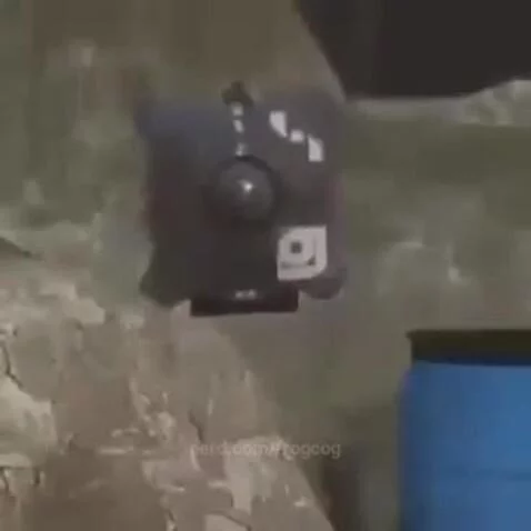 got caught in 4K by frogcog