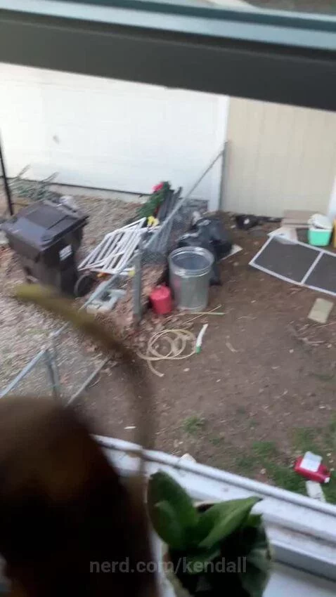 Video by kendall