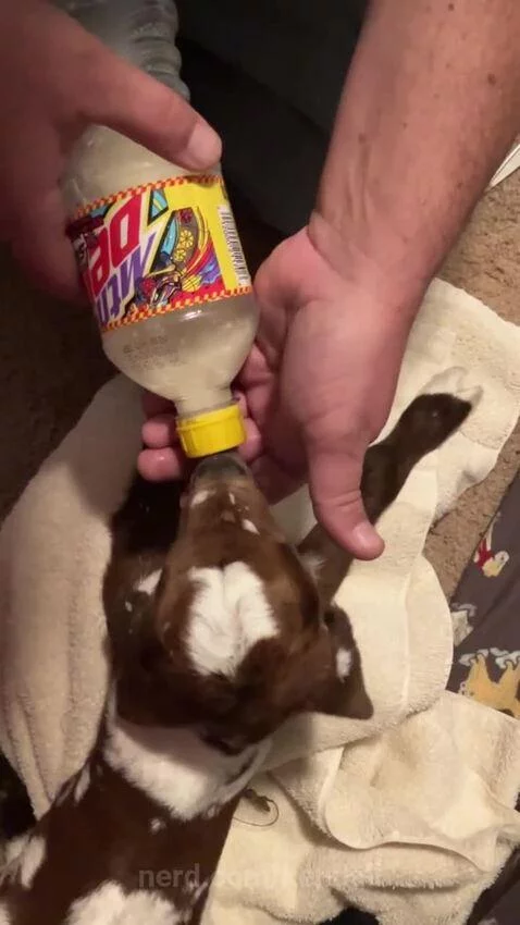 Video by kendall
