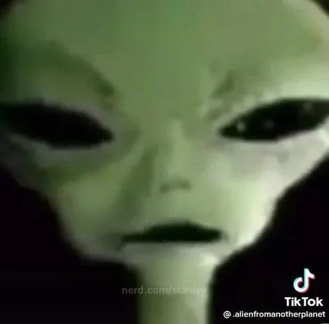 alien from another planet by stanley