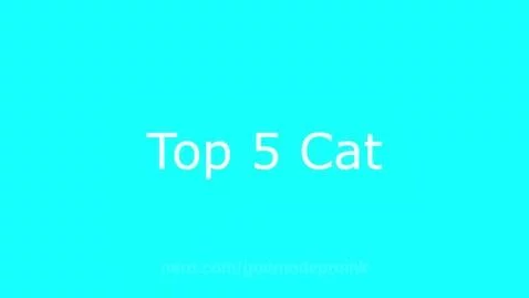 Top 5 cats by godmodeproink