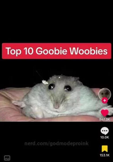 Top 10 Goobie Woobies by godmodeproink