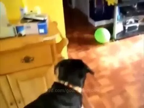 evil spongebob balloon by godmodeproink