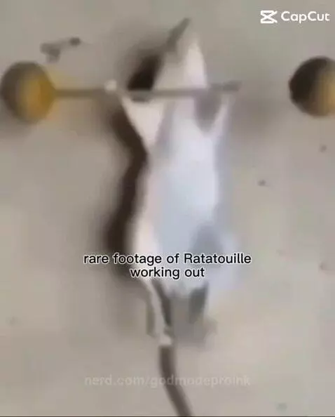 Rat by godmodeproink