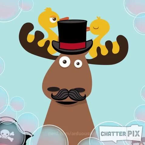 Video by arduousroll