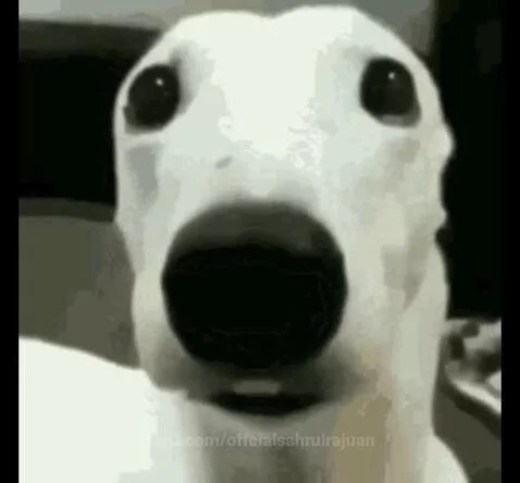 xd by offcialsahrulrajuan