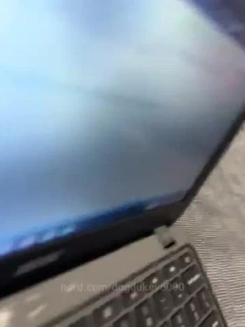 Video by dogdukey6000