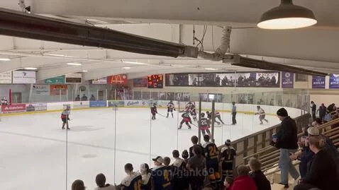 hockey, state by hank69