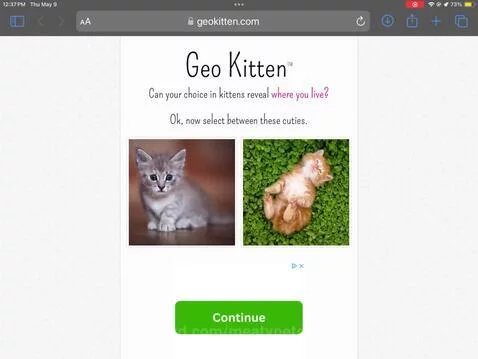 100% accuracy by meatypete69