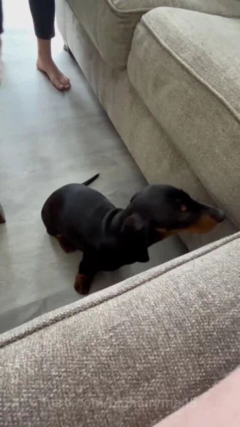 Video by bighairyman5