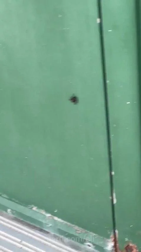 Blud is crazy by ali