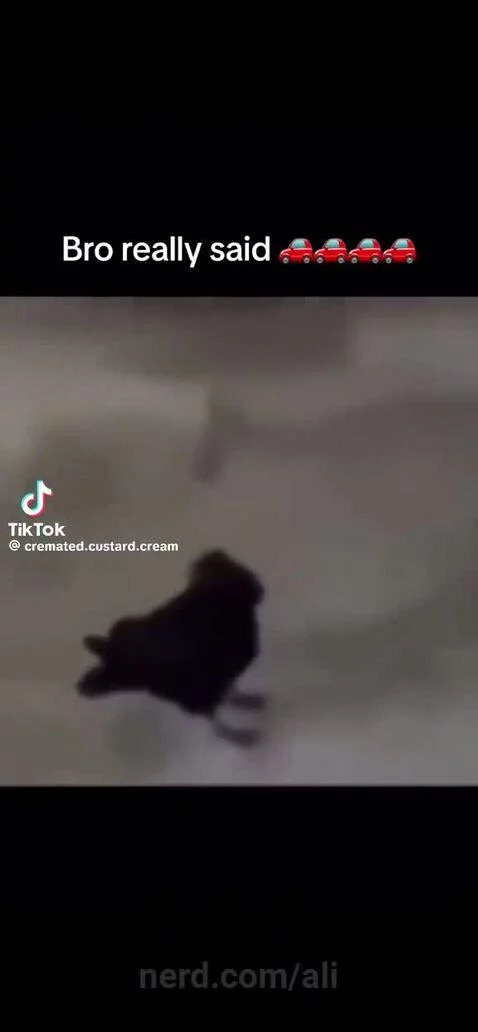 Bro said 🚗 by ali