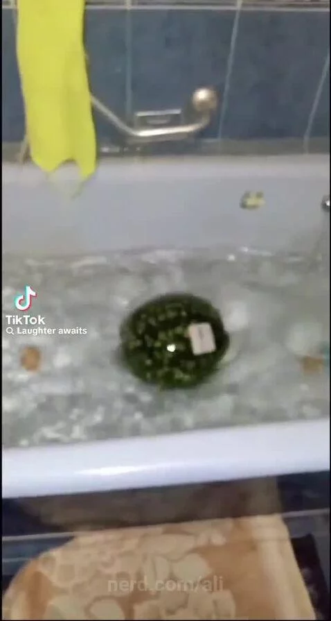 Watermelon😎 by ali