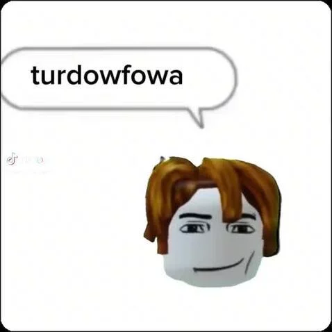 Turdoforwa by ali