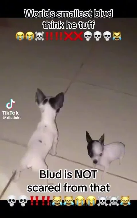 video poster
