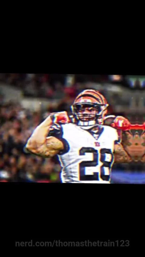 Go BENGALS!!!!!!!!!!!!!!!!!!!!!!!!!!!!!!!!!!!!!!!!!!!!!!!!!!... by thomasthetrain123