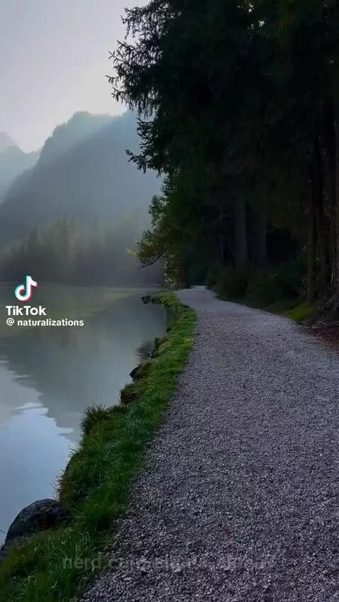 Dont mind the depressing music on my videos😭 by sigma-alpha7