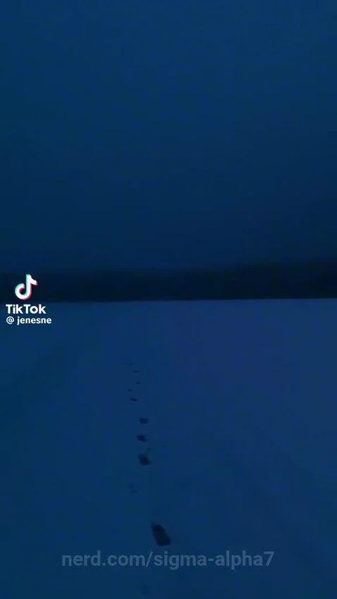 Video by sigma-alpha7