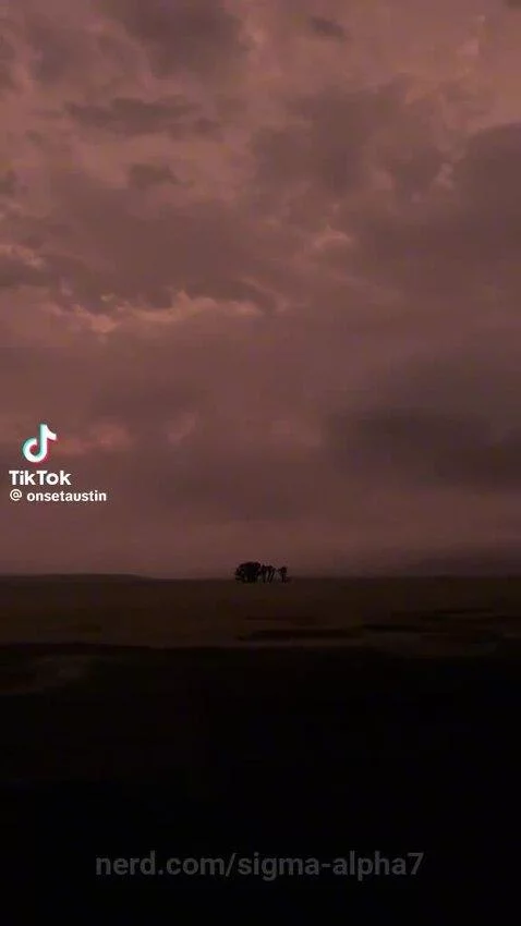 Video by sigma-alpha7