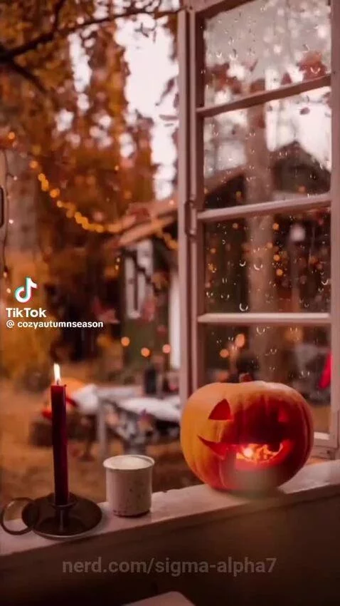 Video by sigma-alpha7