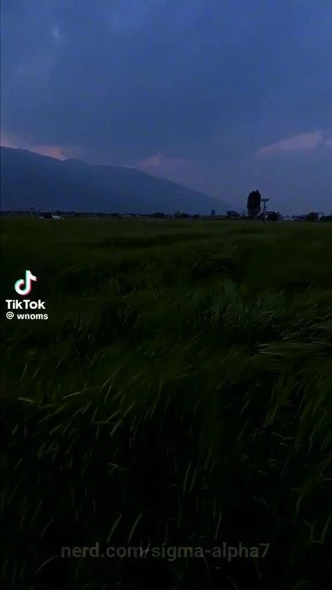 Video by sigma-alpha7