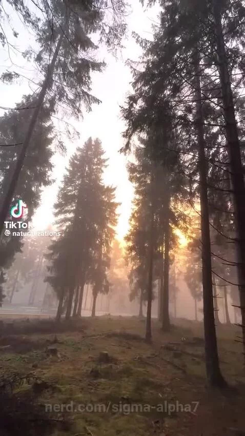 Video by sigma-alpha7