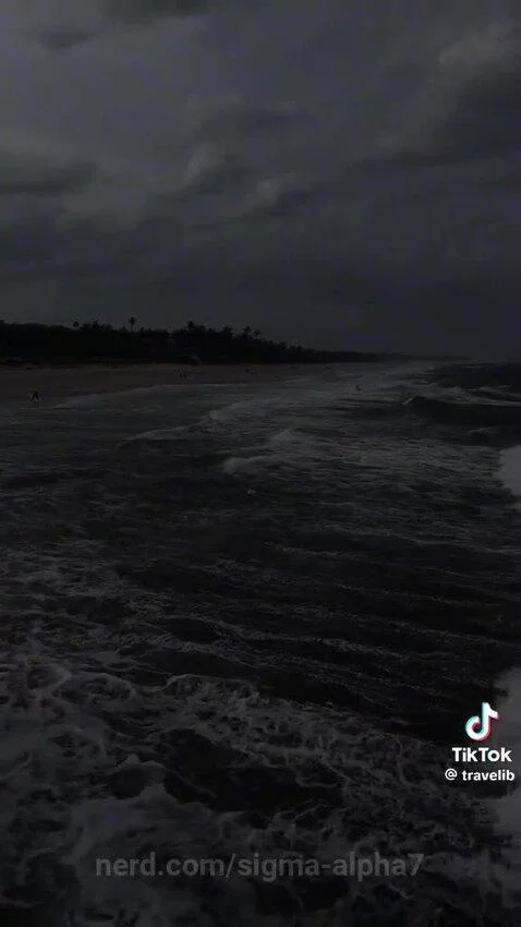 Video by sigma-alpha7