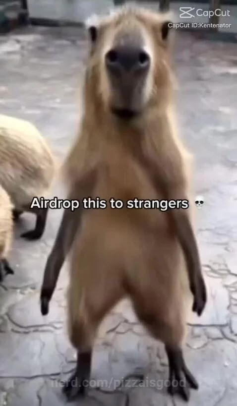 video poster