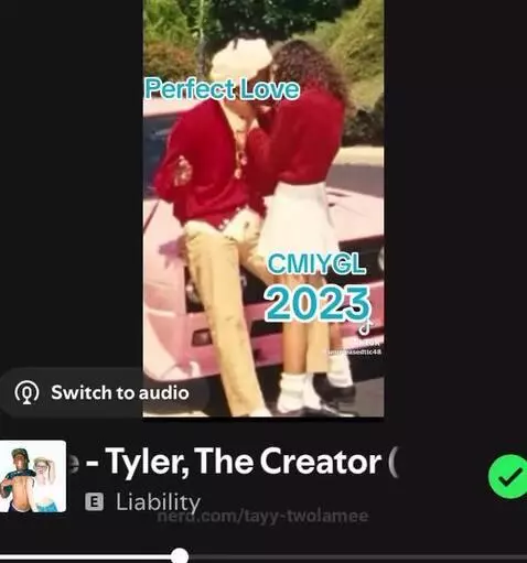 A Tyler unreleased because I got nothing else to post🤷🏾‍♀️ by tayy-twolamee