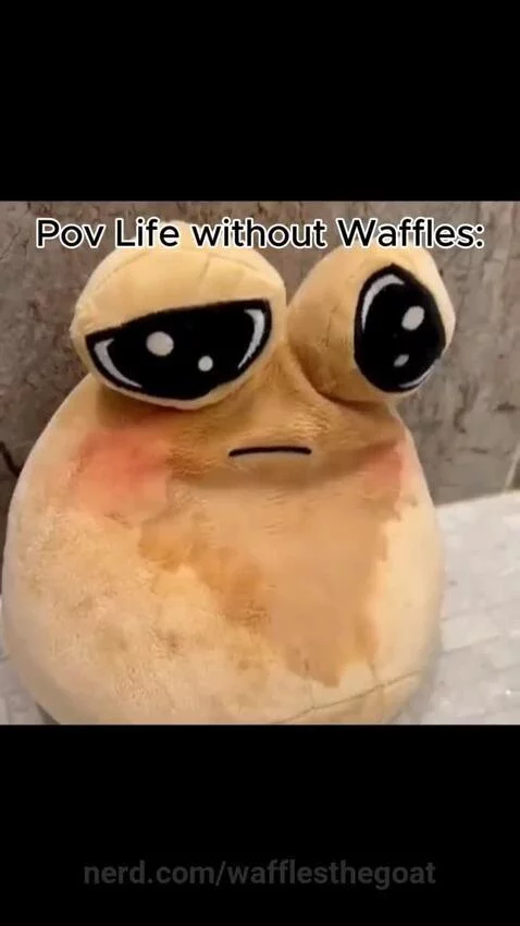 Life Without Waffles😭 by wafflesthegoat