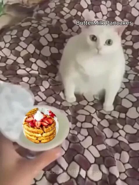 ButterMilk Pancakes hates Waffles😡 by wafflesthegoat