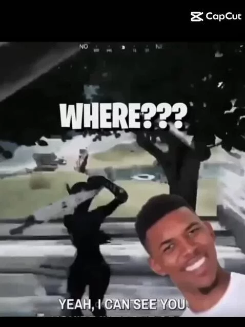 Posting random memes til I hit 1k followers by dinonugget