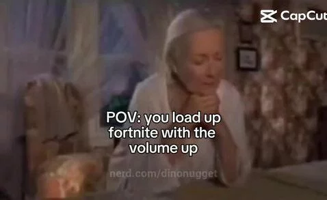 Posting random memes til I hit 1k followers by dinonugget