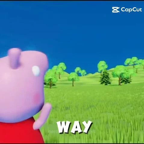 Posting random memes til I hit 1k followers by dinonugget