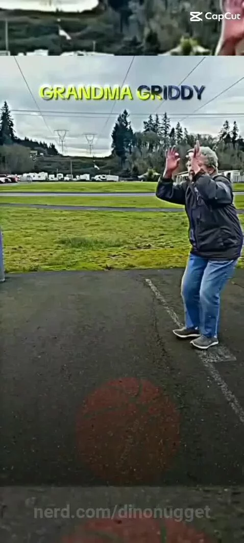 Posting random memes til I hit 1k followers by dinonugget