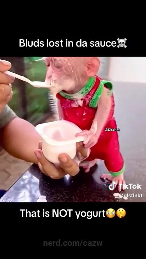 monke, monkey, fyp by cazw
