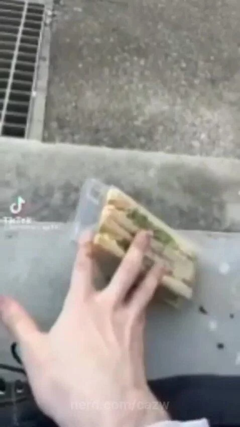 sandwich, memes, meme by cazw