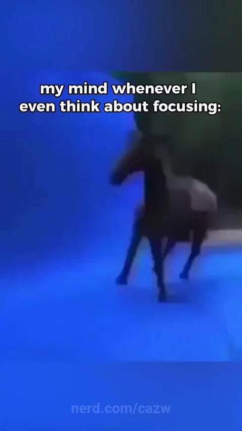 video poster