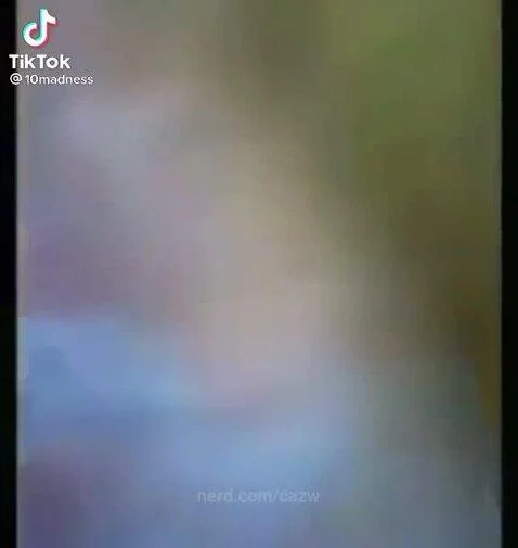 foryou, meme, funny by cazw