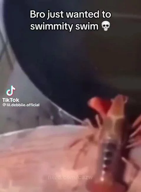 foryou, meme, funny by cazw